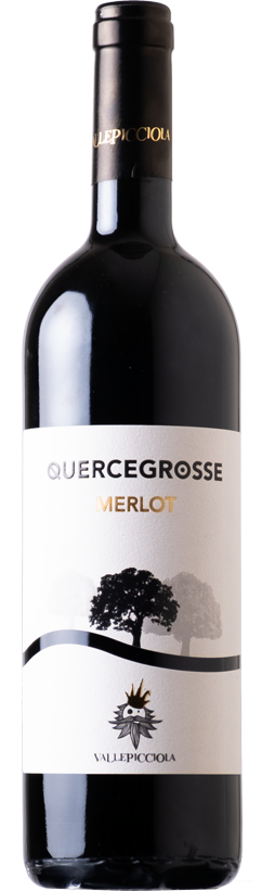 Quercegrosse Merlot Toscana IGT Vallepicciola 2021 - 1.5l Magnum in 1er Holzkiste